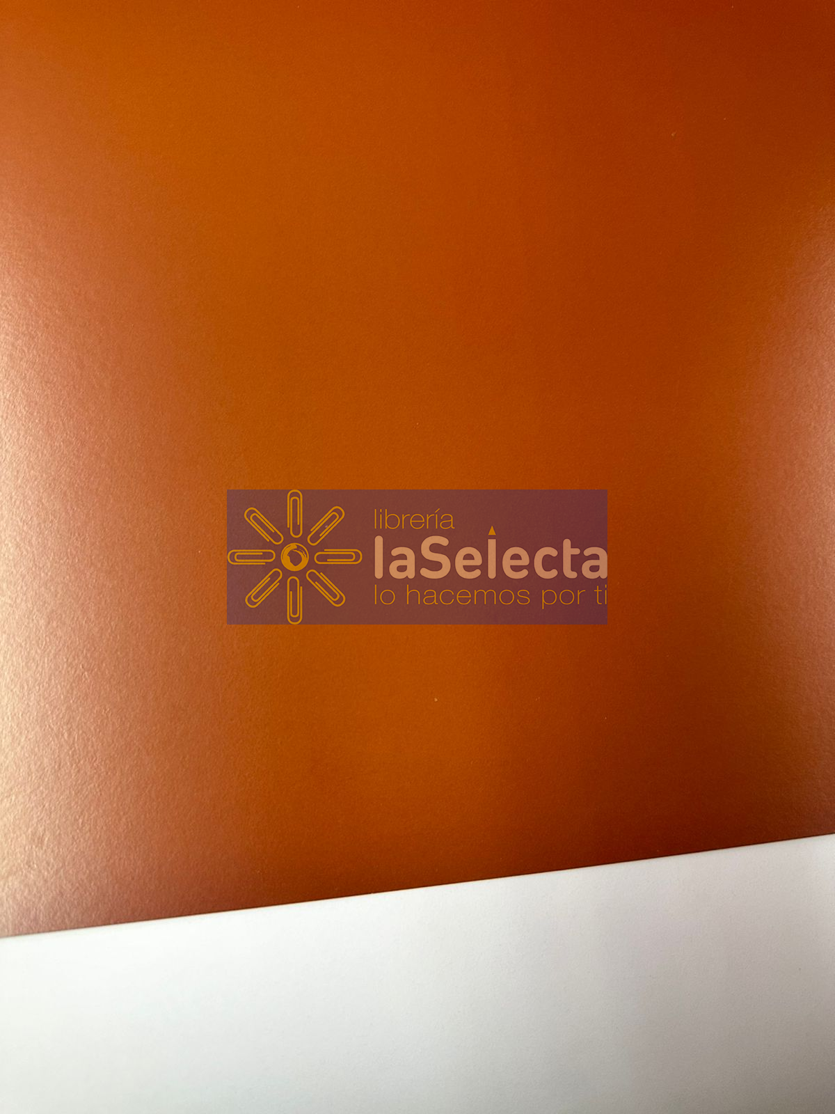 CARTON PINTADO CAFE CLARO 55X77 CM 240 GR HAND